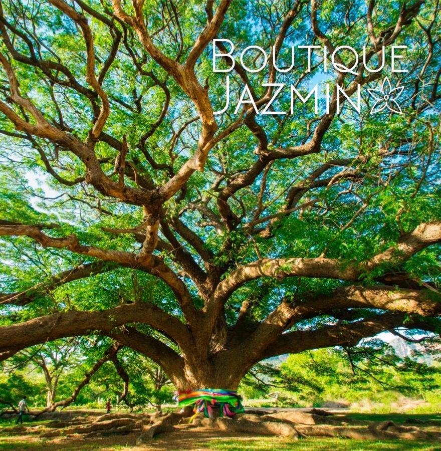 Boutique Jazmin Daire Alicante Dış mekan fotoğraf